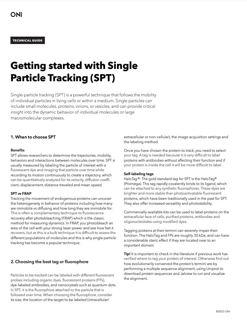 Getting started with Single Particle Tracking (SPT)